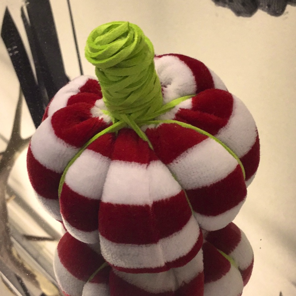 Mini pumpkin sustainable Upcycled artisan craft holiday decor farmer’s market